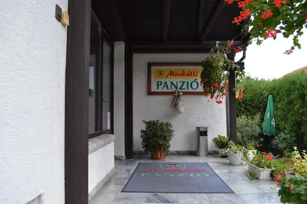 مبيت وإفطار غيور Muskatli Panzio المظهر الخارجي الصورة