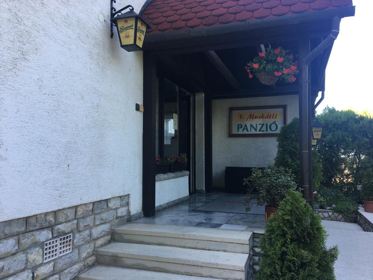 مبيت وإفطار غيور Muskatli Panzio المظهر الخارجي الصورة